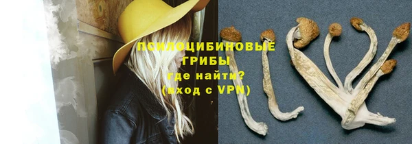 a pvp Абаза