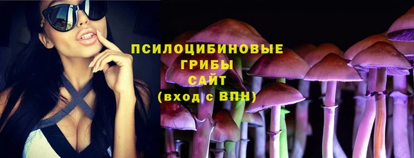 a pvp Абаза