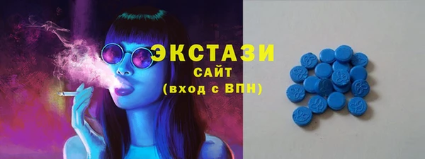 ECSTASY Ветлуга