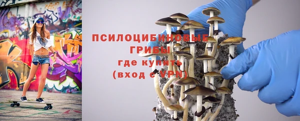 трава Абинск