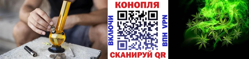 Марихуана гибрид  Фёдоровский 
